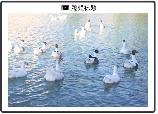 一号娱乐2